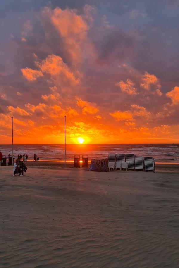 B&B Het Duinhuisje Met Jacuzzi, Gratis Parkeren, 2 Fietsen Te Leen, Airco Zandvoort Eksteriør billede